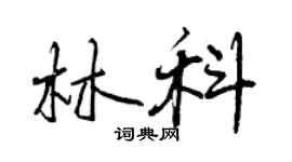 曾慶福林科行書個性簽名怎么寫