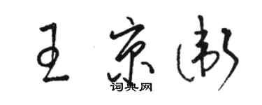 駱恆光王京衛草書個性簽名怎么寫