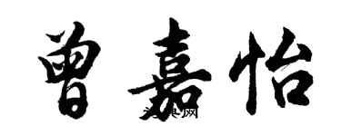 胡問遂曾嘉怡行書個性簽名怎么寫