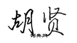 駱恆光胡賢行書個性簽名怎么寫