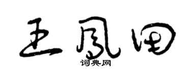 曾慶福王鳳田草書個性簽名怎么寫