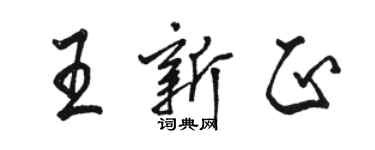 駱恆光王新正行書個性簽名怎么寫