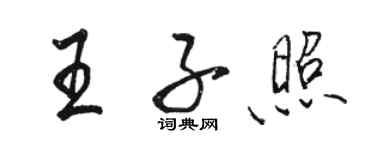 駱恆光王子照行書個性簽名怎么寫