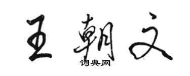 駱恆光王朝文行書個性簽名怎么寫