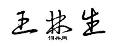 曾慶福王林生草書個性簽名怎么寫