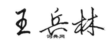 駱恆光王兵林行書個性簽名怎么寫