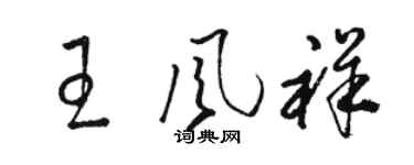 駱恆光王風祥草書個性簽名怎么寫