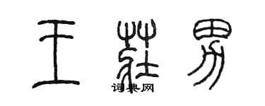 陳墨王莊男篆書個性簽名怎么寫