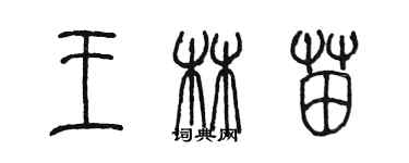 陳墨王林苗篆書個性簽名怎么寫