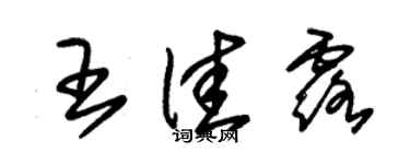 朱錫榮王佳露草書個性簽名怎么寫