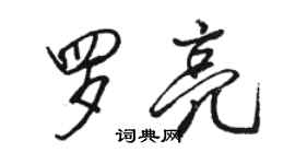 駱恆光羅亮行書個性簽名怎么寫