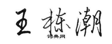 駱恆光王棟潮行書個性簽名怎么寫