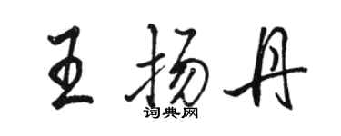 駱恆光王揚丹行書個性簽名怎么寫