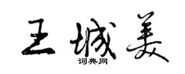 曾慶福王城美行書個性簽名怎么寫