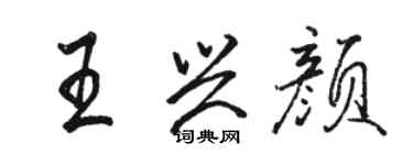 駱恆光王興顏行書個性簽名怎么寫