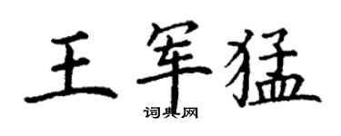 丁謙王軍猛楷書個性簽名怎么寫