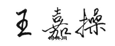 駱恆光王嘉操行書個性簽名怎么寫