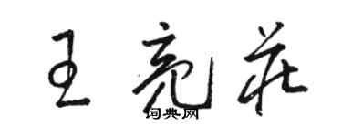 駱恆光王亮莊草書個性簽名怎么寫