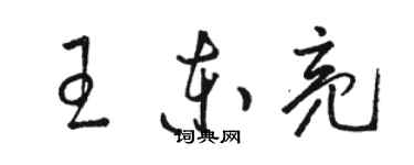 駱恆光王東亮草書個性簽名怎么寫