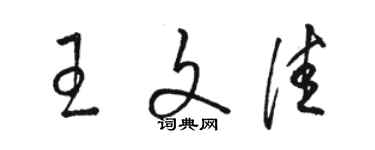 駱恆光王文佳草書個性簽名怎么寫