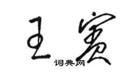 駱恆光王賓草書個性簽名怎么寫