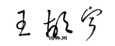 駱恆光王胡寧草書個性簽名怎么寫