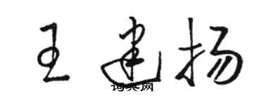 駱恆光王建揚草書個性簽名怎么寫