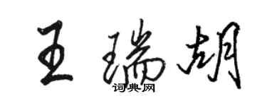 駱恆光王瑞胡行書個性簽名怎么寫
