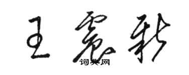 駱恆光王震新草書個性簽名怎么寫