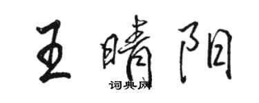 駱恆光王晴陽行書個性簽名怎么寫
