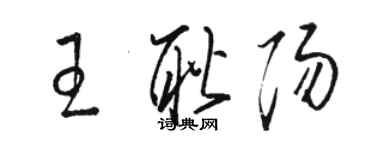 駱恆光王耿陽草書個性簽名怎么寫