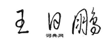 駱恆光王日鵬草書個性簽名怎么寫