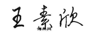 駱恆光王素欣行書個性簽名怎么寫
