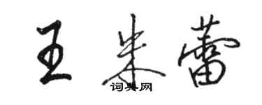 駱恆光王朱蕾行書個性簽名怎么寫