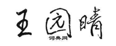 駱恆光王園晴行書個性簽名怎么寫