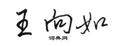 駱恆光王向如行書個性簽名怎么寫