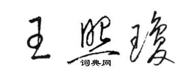 駱恆光王照瓊草書個性簽名怎么寫