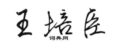 駱恆光王培臣行書個性簽名怎么寫
