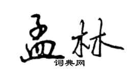 曾慶福孟林行書個性簽名怎么寫