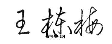 駱恆光王棟梅草書個性簽名怎么寫