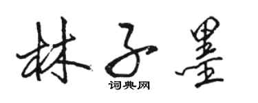 駱恆光林子墨行書個性簽名怎么寫