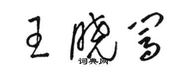 駱恆光王曉闖草書個性簽名怎么寫