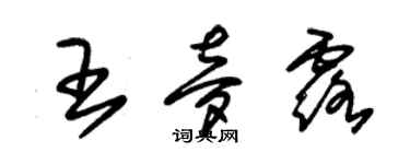 朱錫榮王夢露草書個性簽名怎么寫