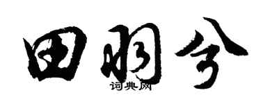 胡問遂田羽兮行書個性簽名怎么寫