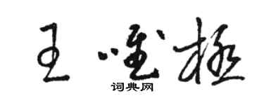 駱恆光王唯極草書個性簽名怎么寫