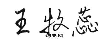 駱恆光王牧蕊行書個性簽名怎么寫