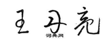 駱恆光王丹亮草書個性簽名怎么寫