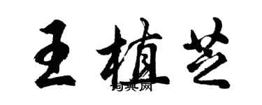 胡問遂王植芝行書個性簽名怎么寫