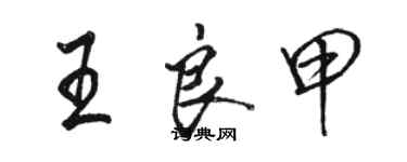 駱恆光王良甲行書個性簽名怎么寫