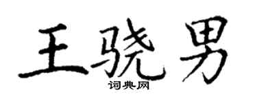 丁謙王驍男楷書個性簽名怎么寫